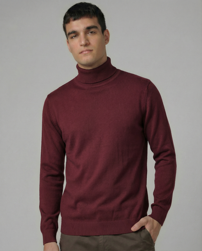 Cable Turtleneck Knit